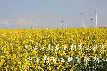 民生助粒贷逾期有还款宽限期吗-民生助粒贷逾期有还款宽限期吗多久