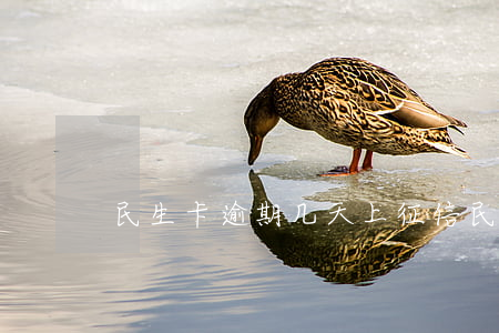 民生卡逾期几天上征信（民生信用卡逾期信息）