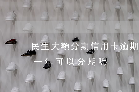 民生大額分期信用卡逾期了怎么辦(民生逾期一年可以分期嗎)