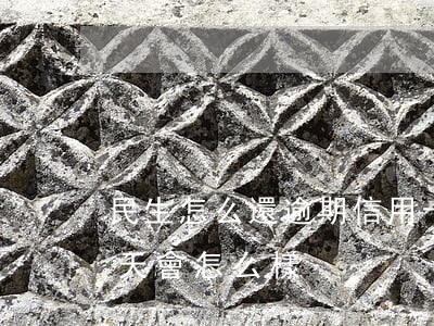 民生怎么還逾期信用卡嗎(民生信用卡逾期兩天會怎么樣)