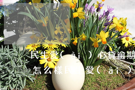 民生愛(ài)心貸逾期一天會(huì)怎么樣(民生愛(ài)心貸什么時(shí)候到賬)