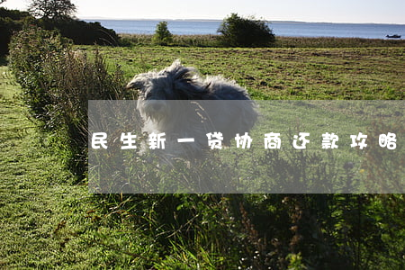 民生新一贷协商还款攻略：如何进行还款？