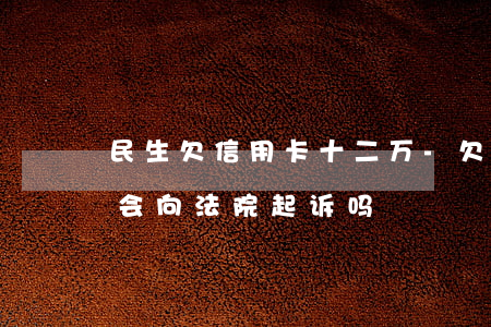 民生欠信用卡十二万-欠民生信用卡一万多会向法院起诉吗