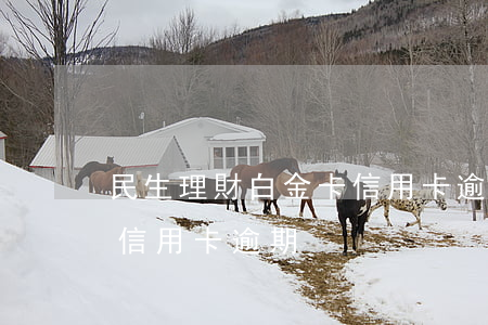 民生理財白金卡信用卡逾期(民生理財白金卡信用卡逾期)