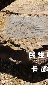 民生白金理財信用卡逾期(民生白金理財信用卡逾期)