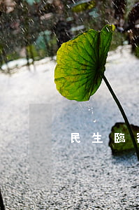 民生臨額逾期 民生逾期一周