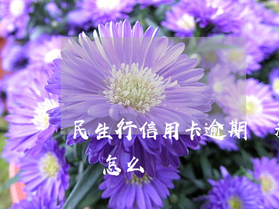 民生行信用卡逾期郵箱 民生銀行信用卡逾期會怎么樣