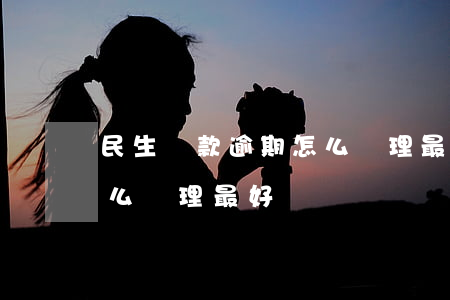 民生貸款逾期怎么處理最好（民生貸款逾期怎么處理最好）