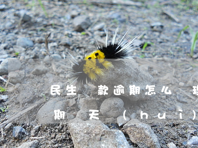 民生貸款逾期怎么處理最快(民生銀行貸款逾期兩天會(huì)有不良記錄嗎)