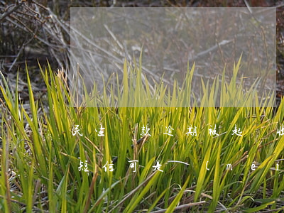 民生貸款逾期被起訴(收到民生銀行貸款逾期短信,可是沒(méi)貸過(guò)款)