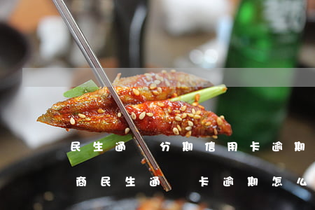 民生通寶分期信用卡逾期怎么協(xié)商(民生通寶卡逾期怎么處理)