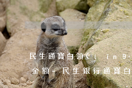 民生通寶白領(lǐng)白金信用卡逾期金額-民生銀行通寶白領(lǐng)卡逾期,銀行要求一次性還款