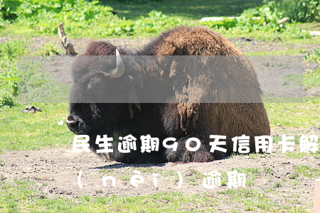 民生逾期90天信用卡解凍(信用卡90天內(nèi)逾期)