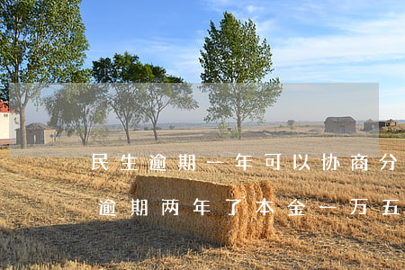 民生逾期一年可以协商分期还款么 民生银行逾期两年了本金一万五可以协商分期吗