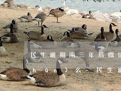 民生逾期兩三年后微信上出具的賬單準(zhǔn)么-民生逾期還進(jìn)去還能刷出來么