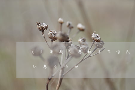 民生逾期利息翻了三倍（民生信用卡逾期翻倍利息合法吗）