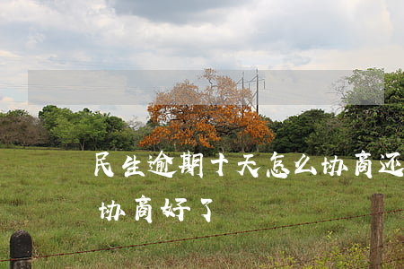 民生逾期十天怎么协商还款-民生逾期给我协商好了