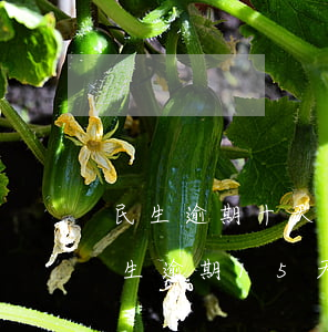民生逾期十天說(shuō)要起訴我-民生逾期15天