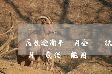 民生逾期半個月全額還款(民生銀行逾期半個月,還最低還能用嗎)