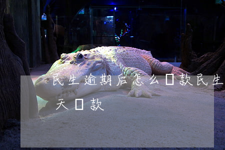 民生逾期后怎么還款(民生信用卡可以逾期幾天還款)