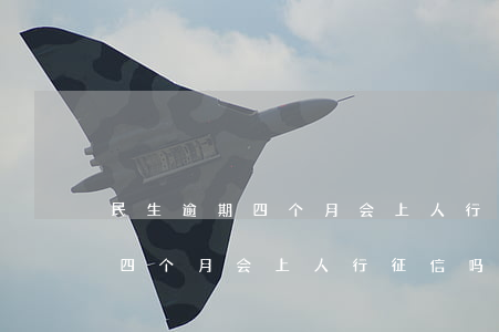 民生逾期四个月会上人行征信吗-民生逾期四个月会上人行征信吗知乎