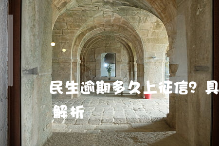 民生逾期多久上征信？具体天数及立案条件解析