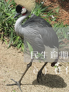 民生逾期多久可以申請(qǐng)個(gè)性化分期-民生逾期多久可以申請(qǐng)個(gè)性化分期貸款