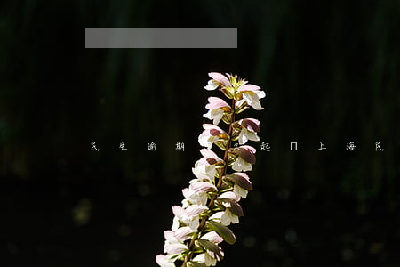 民生逾期多久起訴上海(民生逾期6天)