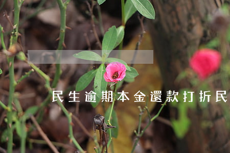 民生逾期本金還款打折(民生還款日)