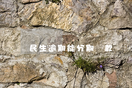 民生逾期能分期還款