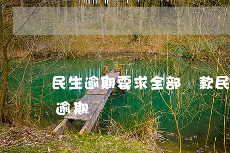 民生逾期要求全部還款(民生還款日第二天算逾期嗎)