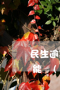 民生逾期還最低(民生逾期還最低還款2萬多能協(xié)商么)