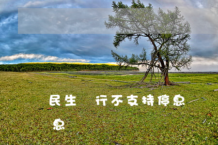 民生銀行不支持停息掛賬(民生信用卡可以停息掛賬嗎)