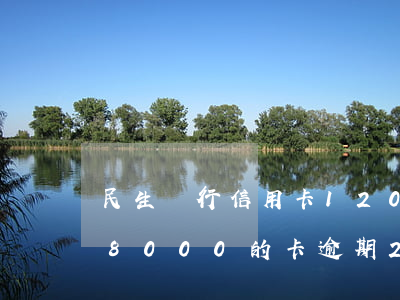 民生銀行信用卡12000逾期(欠民生銀行8000的卡逾期2年多會(huì)被起訴嗎)