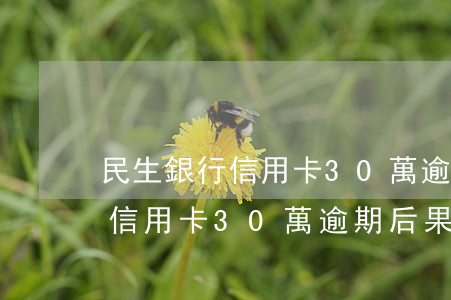 民生銀行信用卡30萬逾期后果-民生銀行信用卡30萬逾期后果怎么樣