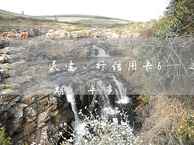 民生銀行信用卡6萬逾期(民生信用卡一萬逾期兩年多)