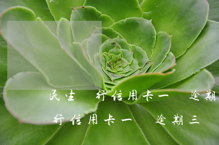 民生銀行信用卡一萬逾期三個月了-民生銀行信用卡一萬逾期三個月了怎么辦