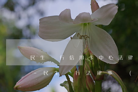 民生銀行信用卡中心法律合規(guī)部-民生銀行法律事務(wù)部