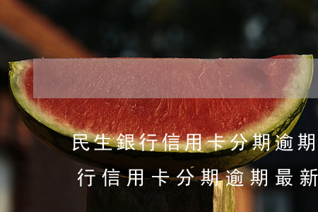 民生銀行信用卡分期逾期最新政策-民生銀行信用卡分期逾期最新政策是什么