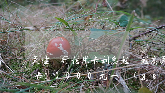 民生銀行信用卡利息越來越高(民生銀行信用卡10000元一個(gè)月利息)