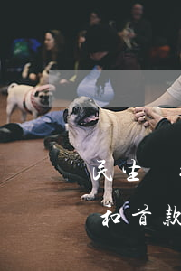 民生銀行信用卡協(xié)商還款要利息和首款-民生銀行協(xié)商還款還要收取手續(xù)費(fèi)