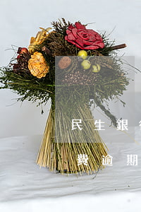 民生銀行信用卡年費逾期(民生銀行信用卡年費逾期了)