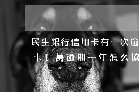 民生銀行信用卡有一次逾期(欠民生銀行信用卡1萬逾期一年,怎么協(xié)商還款)