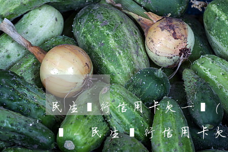 民生銀行信用卡欠一萬(wàn)逾期怎么辦-民生銀行信用卡欠一萬(wàn)逾期怎么辦理