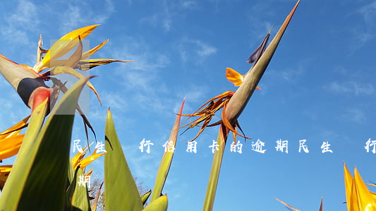 民生銀行信用卡的逾期(民生銀行信用卡的逾期)