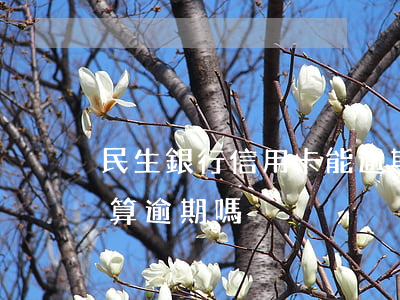 民生銀行信用卡能逾期幾天(民生信用卡4天算逾期嗎)