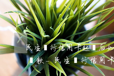 民生銀行信用卡起訴后如何協(xié)商還款-民生銀行信用卡起訴后如何協(xié)商還款呢