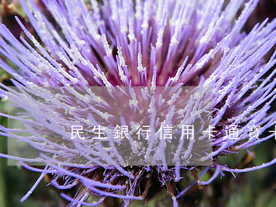 民生銀行信用卡通寶卡逾期