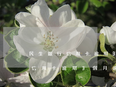 民生銀行信用卡逾期3個月還款-民生銀行信用卡逾期3個月還款會怎樣