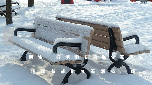 民生銀行信用卡逾期3天怎么辦-民生銀行信用卡逾期3天怎么辦理